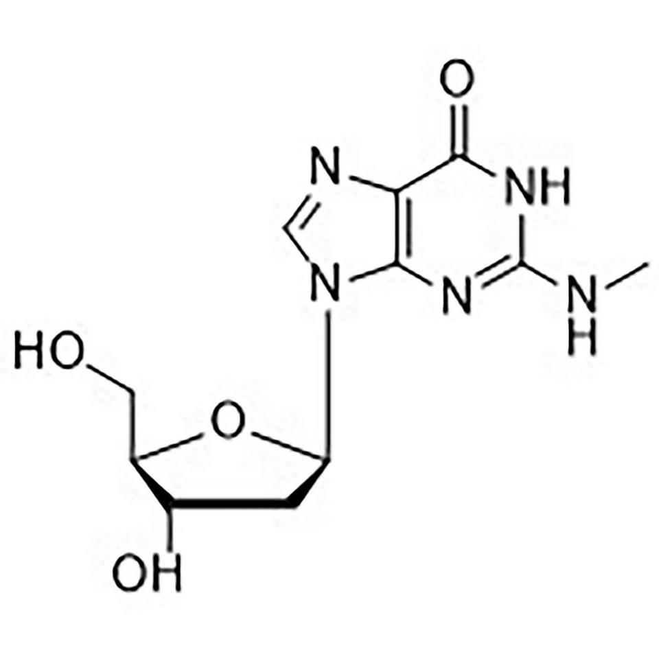 N2-Methyl-2'-deoxyguanosine